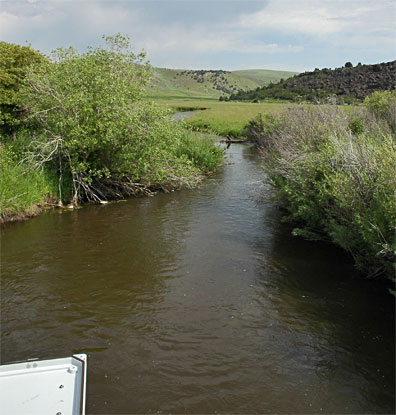 Marsh Ck looking downstream.