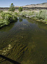 Portneuf River at Edson Fichter Nature Area.