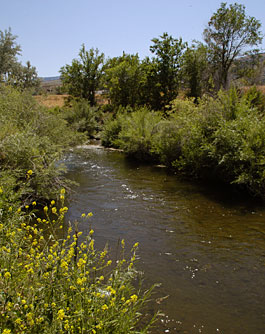 Portneuf River near the Edson Fichter Nature Area monitoring station